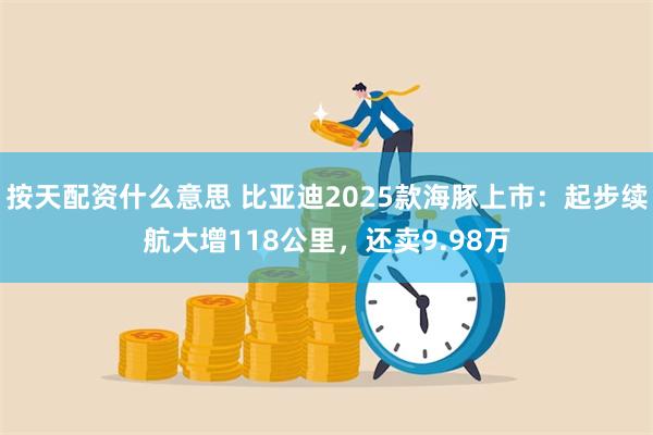 按天配资什么意思 比亚迪2025款海豚上市：起步续航大增118公里，还卖9.98万