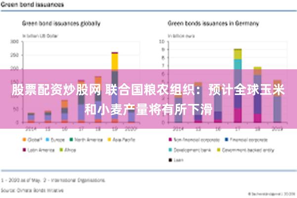 股票配资炒股网 联合国粮农组织：预计全球玉米和小麦产量将有所下滑