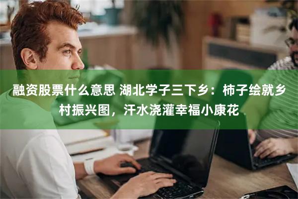 融资股票什么意思 湖北学子三下乡：柿子绘就乡村振兴图，汗水浇灌幸福小康花