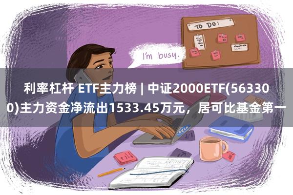 利率杠杆 ETF主力榜 | 中证2000ETF(563300)主力资金净流出1533.45万元，居可比基金第一