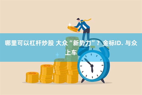 哪里可以杠杆炒股 大众“新势力”？金标ID. 与众上车