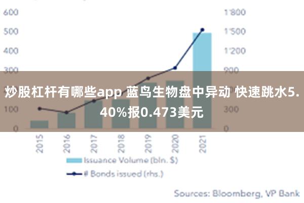 炒股杠杆有哪些app 蓝鸟生物盘中异动 快速跳水5.40%报0.473美元