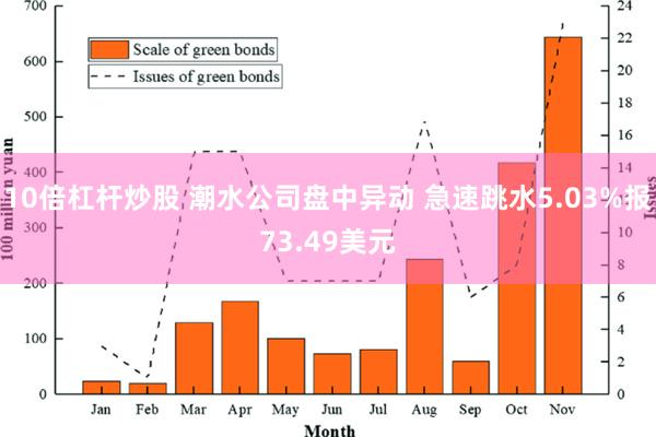 10倍杠杆炒股 潮水公司盘中异动 急速跳水5.03%报73.49美元