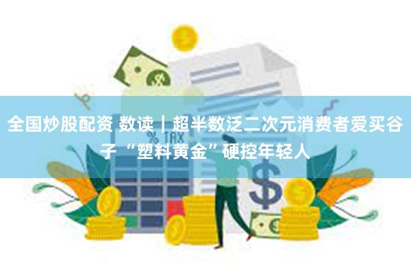 全国炒股配资 数读｜超半数泛二次元消费者爱买谷子 “塑料黄金”硬控年轻人