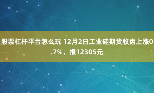 股票杠杆平台怎么玩 12月2日工业硅期货收盘上涨0.7%，报12305元