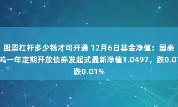 股票杠杆多少钱才可开通 12月6日基金净值：国泰鑫鸿一年定期开放债券发起式最新净值1.0497，跌0.01%