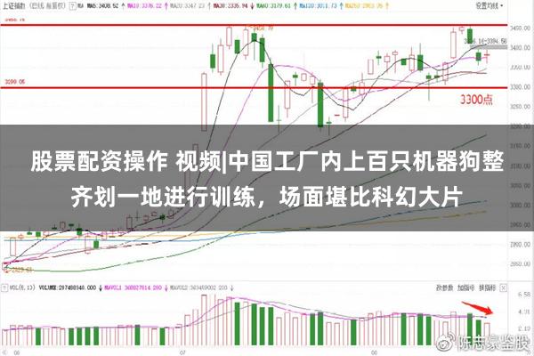 股票配资操作 视频|中国工厂内上百只机器狗整齐划一地进行训练，场面堪比科幻大片