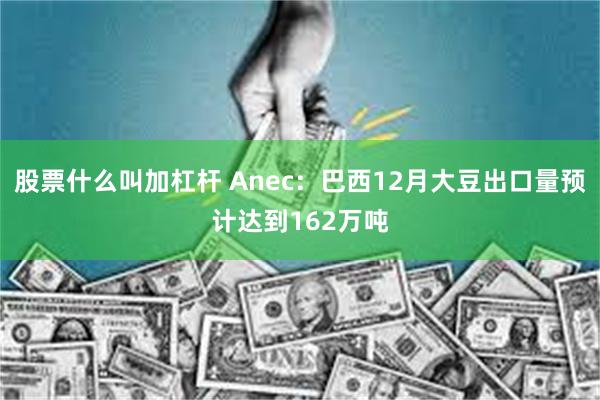 股票什么叫加杠杆 Anec：巴西12月大豆出口量预计达到162万吨