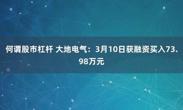 何谓股市杠杆 大地电气：3月10日获融资买入73.98万元