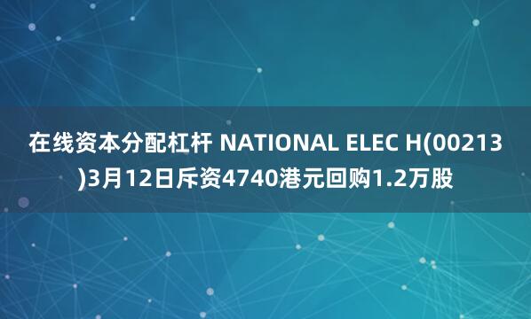 在线资本分配杠杆 NATIONAL ELEC H(00213)3月12日斥资4740港元回购1.2万股